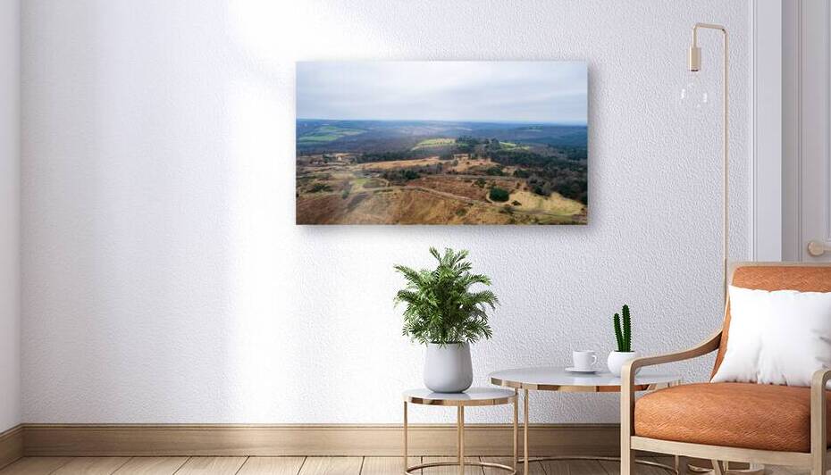 Aerial view of a diverse landscape with rolling hills patches of forests and open fields under a cloudy sky. by Vasile Jechiu