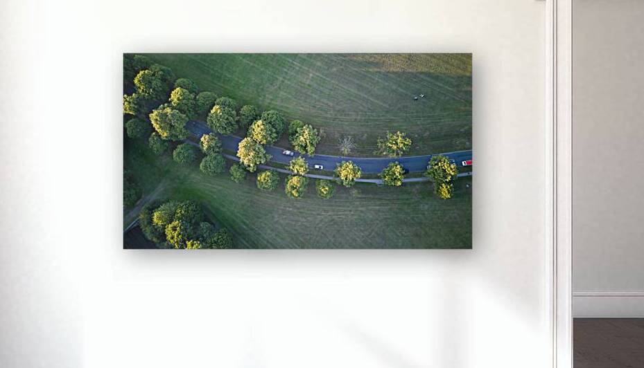 Aerial view of a winding road through a lush green landscape with trees casting long shadows in the evening light in Harrogate North Yorkshire. by Vasile Jechiu