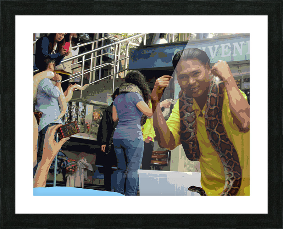 Snake Charmer Picture Frame Printing