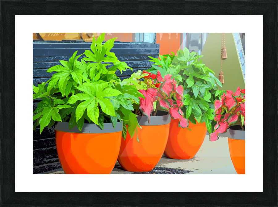 Clay Pots Picture Frame Printing