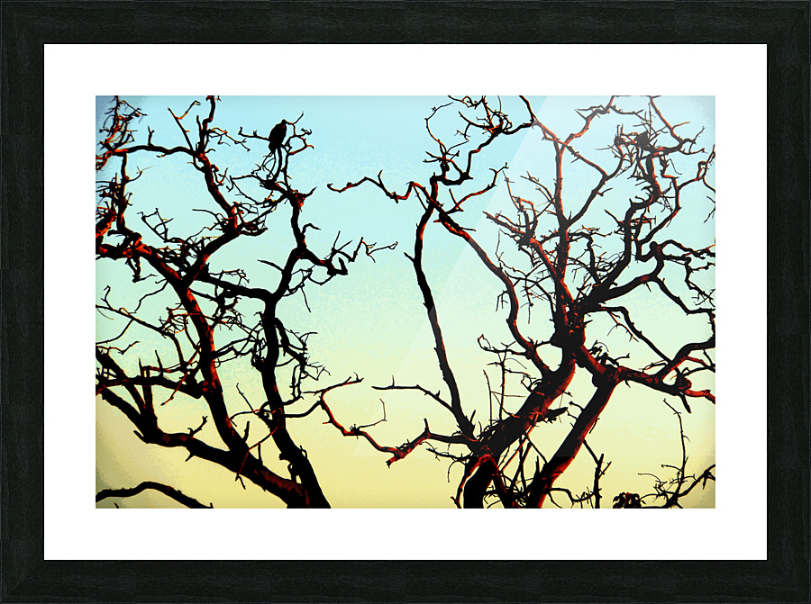 African Tree Picture Frame Printing