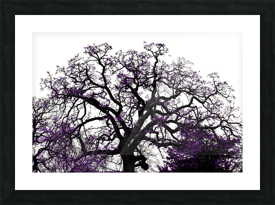 Old Tree Picture Frame Printing