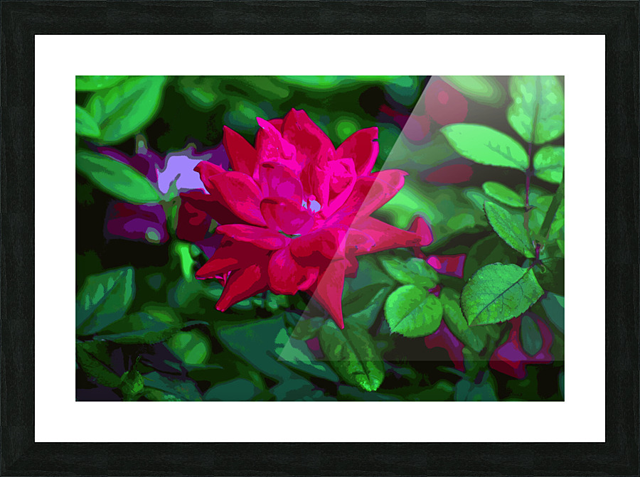 Red Rose Picture Frame Printing