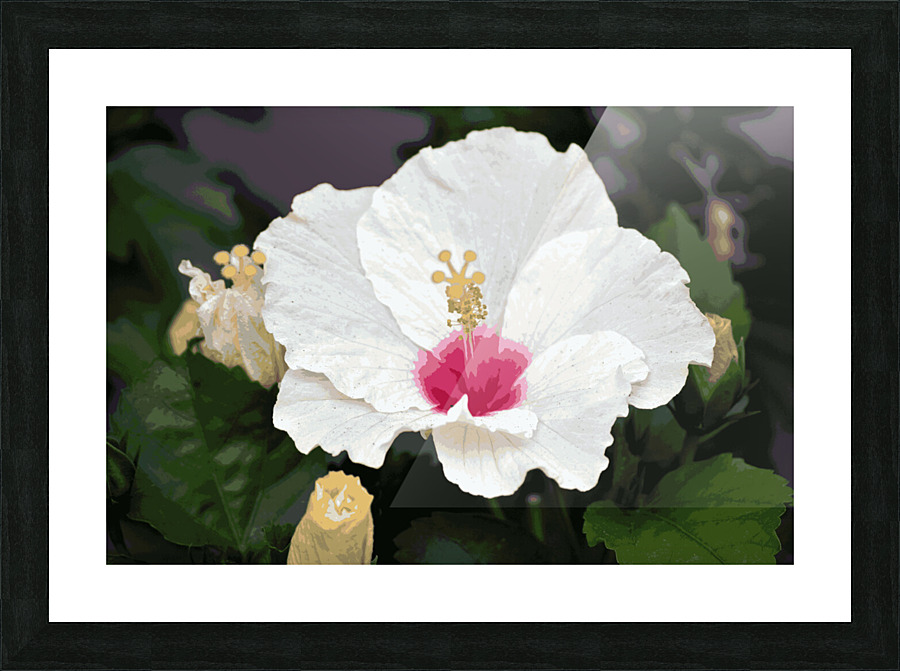Hibiscus Picture Frame Printing