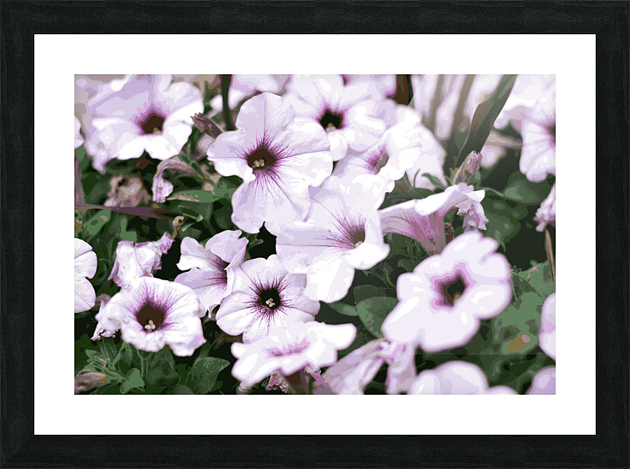 Petunia Picture Frame Printing