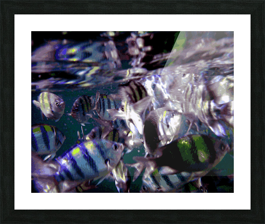 Phuket Fish Picture Frame Printing