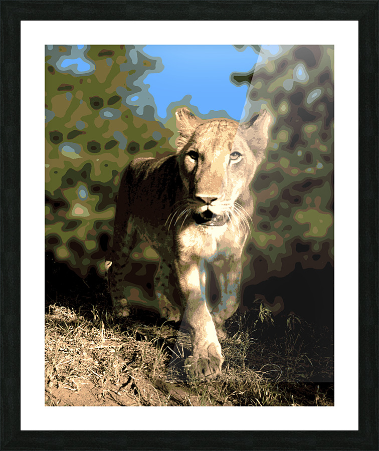 Lion Walk Picture Frame Printing