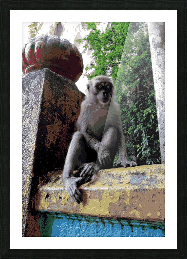 Batu Cave Monkey Picture Frame Printing
