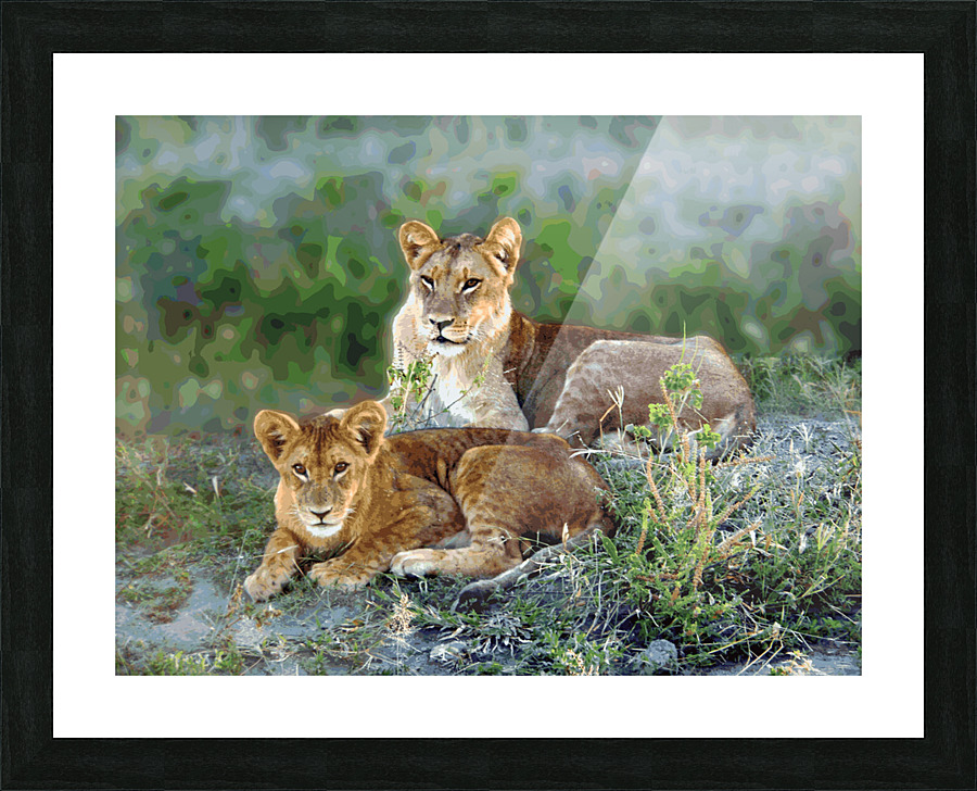 Lion Siblings Picture Frame Printing