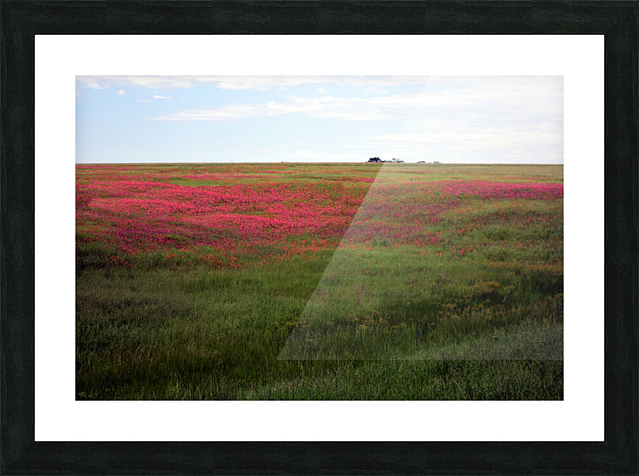 Wildflowers 15 Picture Frame Printing