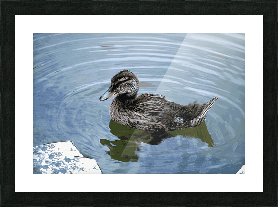 Weekend Duck Picture Frame Printing