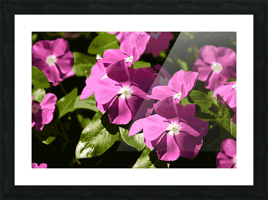 Memorial Day 37 Picture Frame Printing