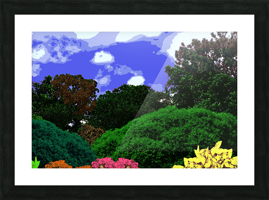 Backyard Picture Frame Printing