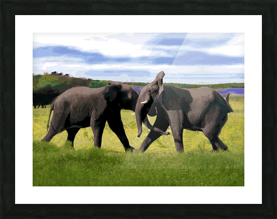 Elephant Duel Picture Frame Printing