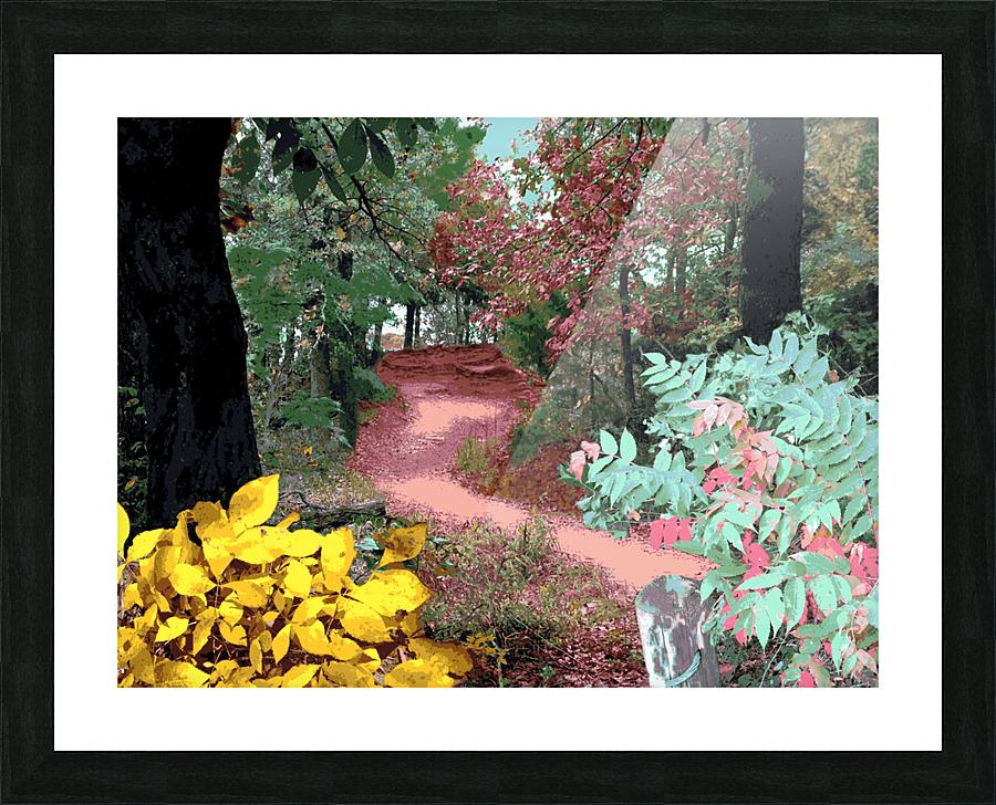 The Trail Picture Frame Printing
