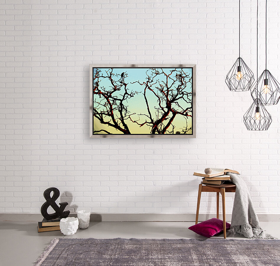 African Tree Reproduction
