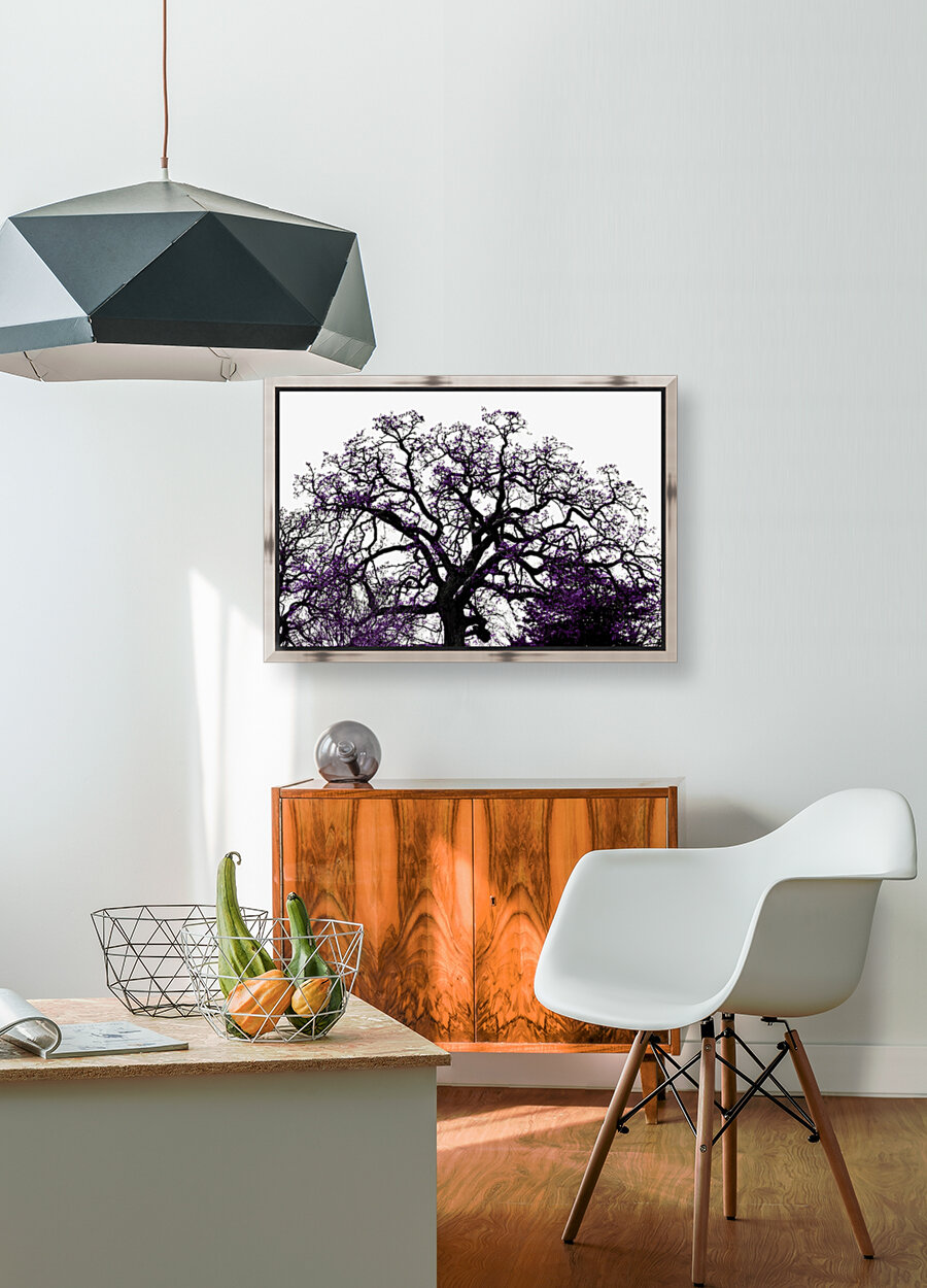 Old Tree Reproduction