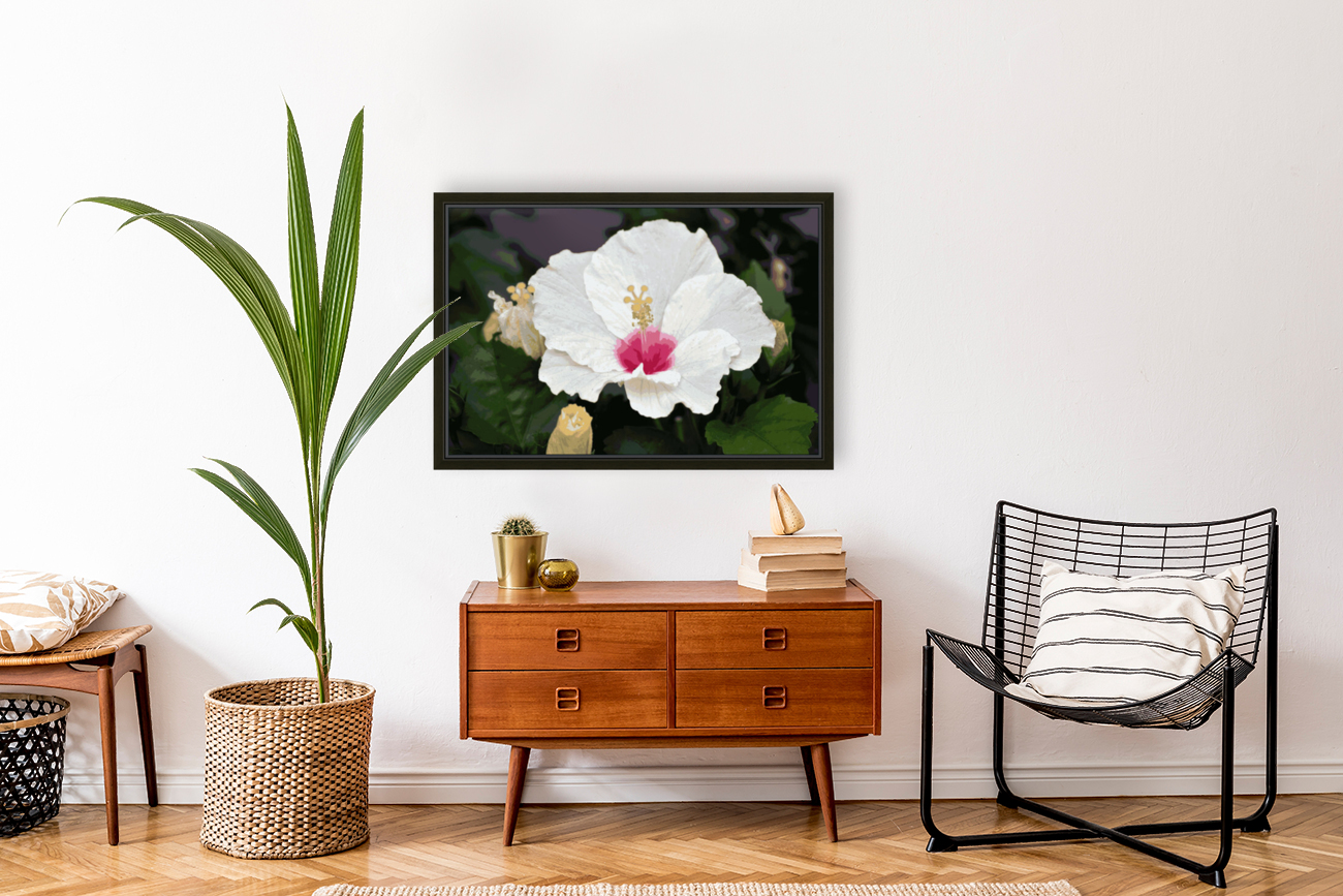 Hibiscus Reproduction
