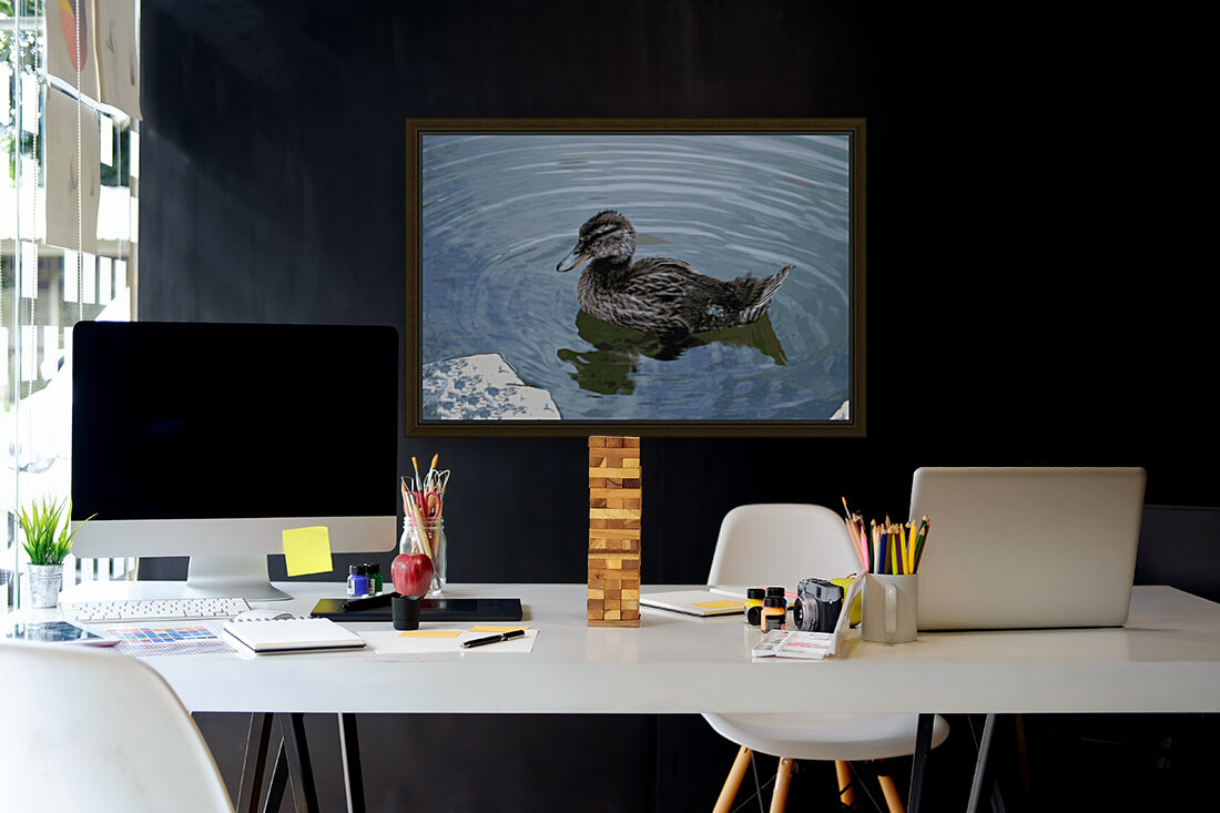Weekend Duck Reproduction