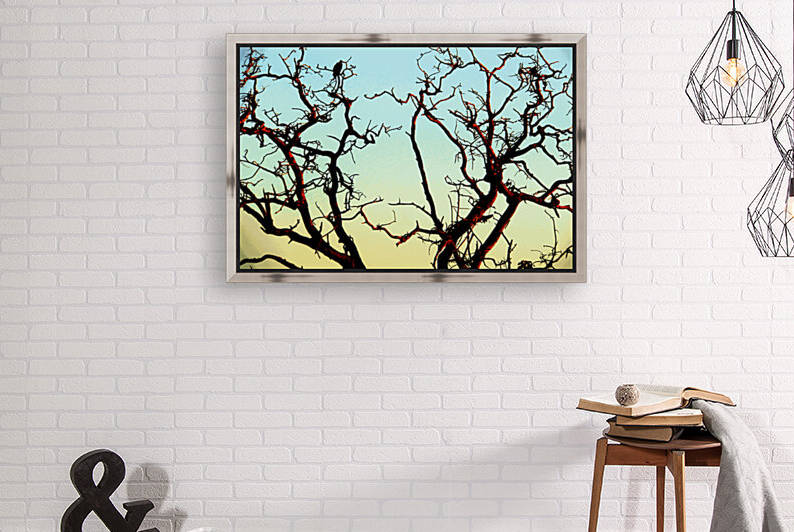 African Tree by Rachael Beauchamp