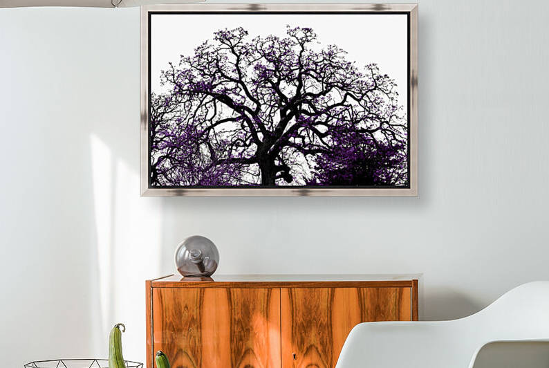 Old Tree by Rachael Beauchamp