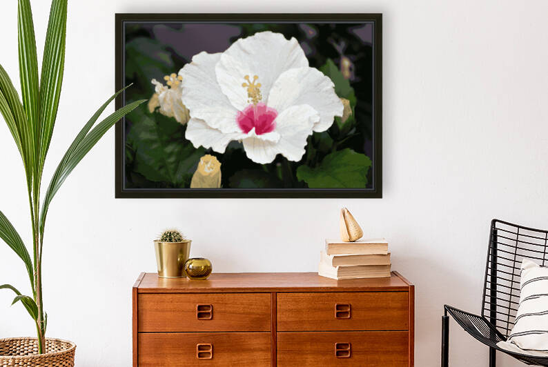 Hibiscus by Rachael Beauchamp