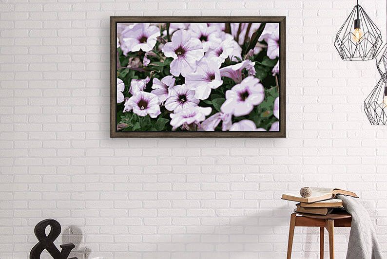 Petunia by Rachael Beauchamp