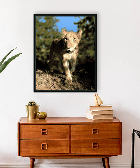 Lion Walk by Rachael Beauchamp