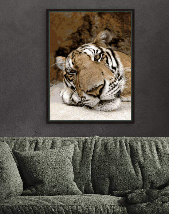 Sleepy Tiger by Rachael Beauchamp