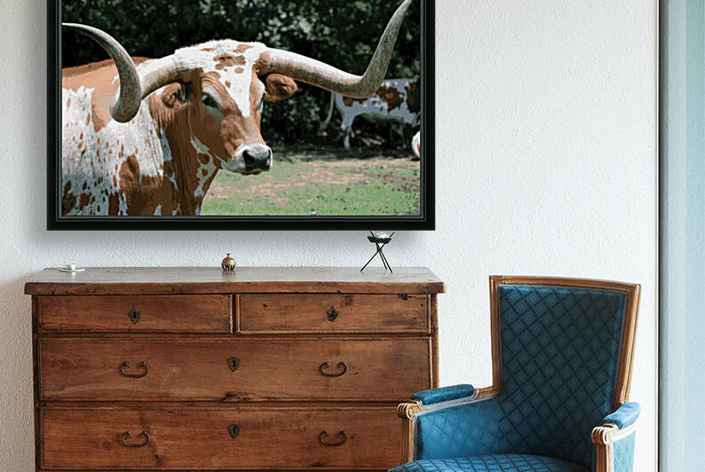 Texas Longhorn by Rachael Beauchamp