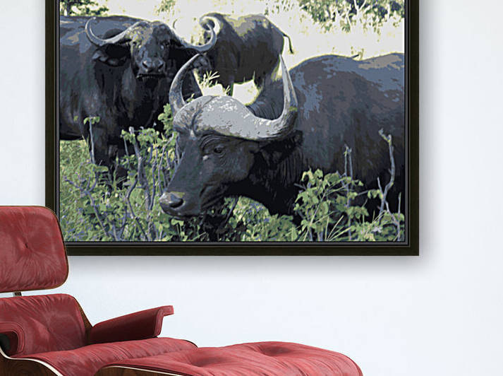 Cape Buffalo by Rachael Beauchamp