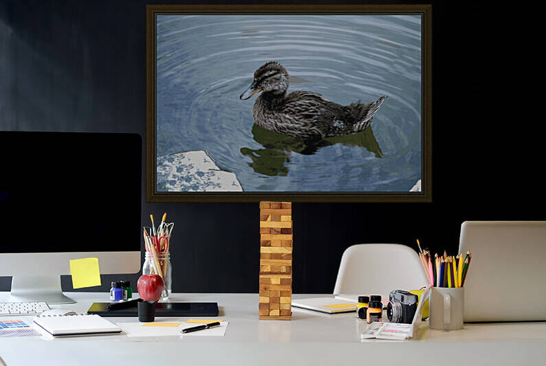 Weekend Duck by Rachael Beauchamp