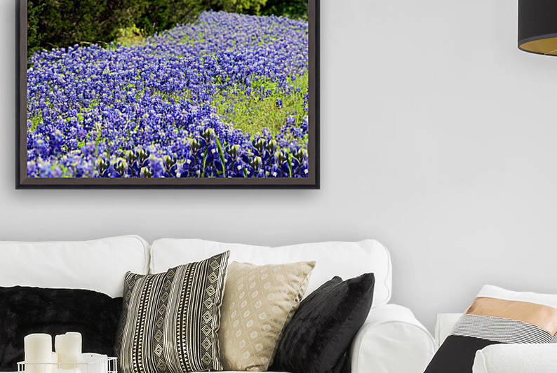Wildflowers 041 by Rachael Beauchamp