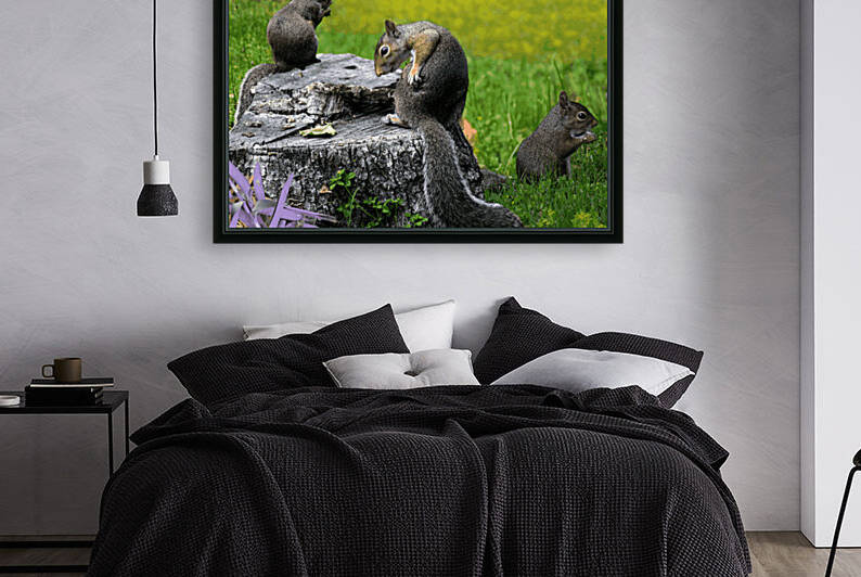 Eureka Springs Squirels by Rachael Beauchamp