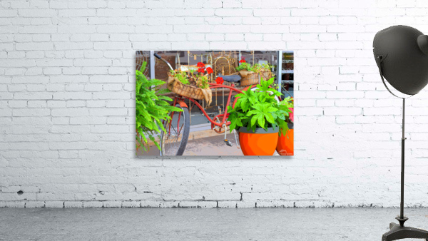 Red Bicycle Wall Preview