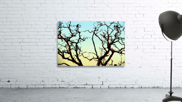 African Tree Wall Preview