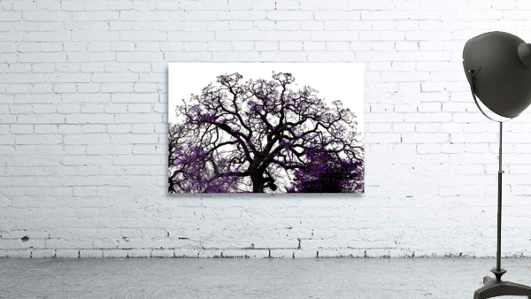 Old Tree Wall Preview