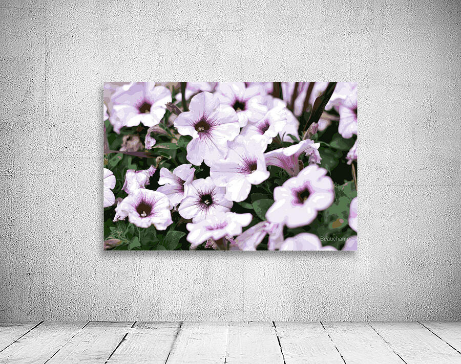 Petunia Wall Preview