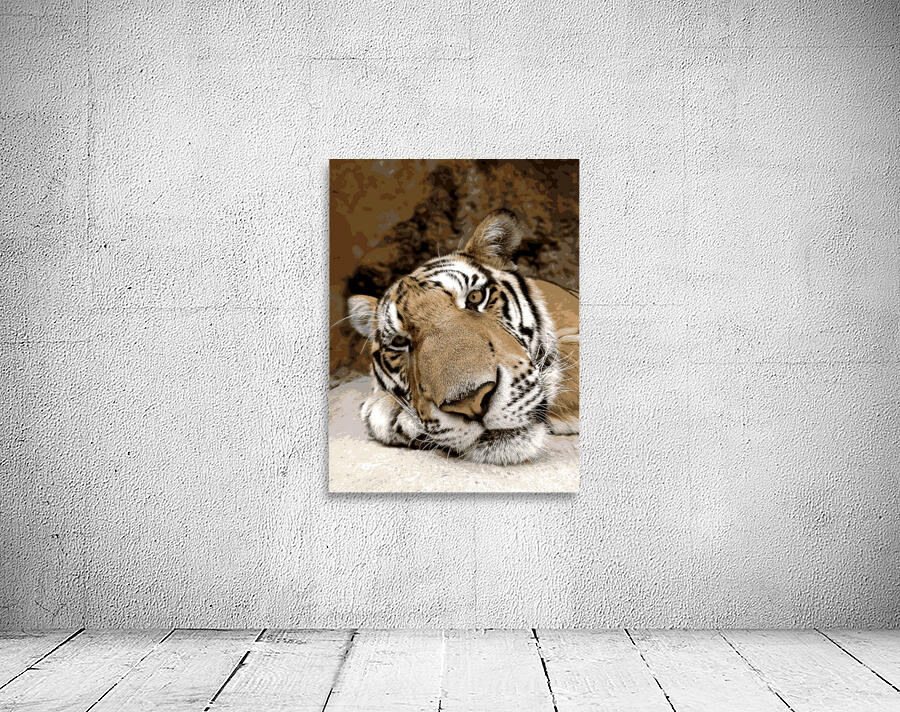 Sleepy Tiger Wall Preview
