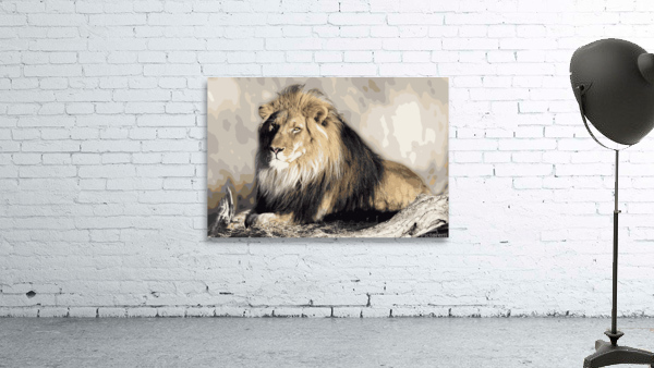 Lion King Wall Preview