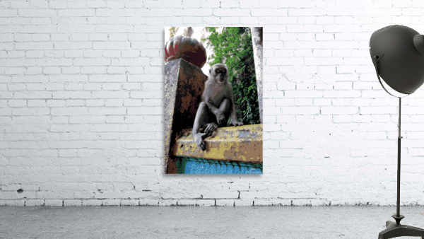 Batu Cave Monkey Wall Preview