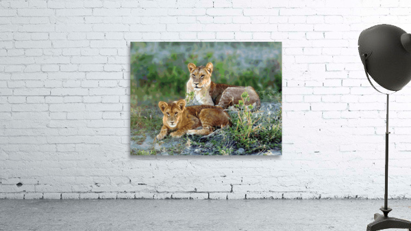 Lion Siblings Wall Preview