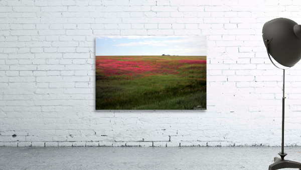 Wildflowers 15 Wall Preview