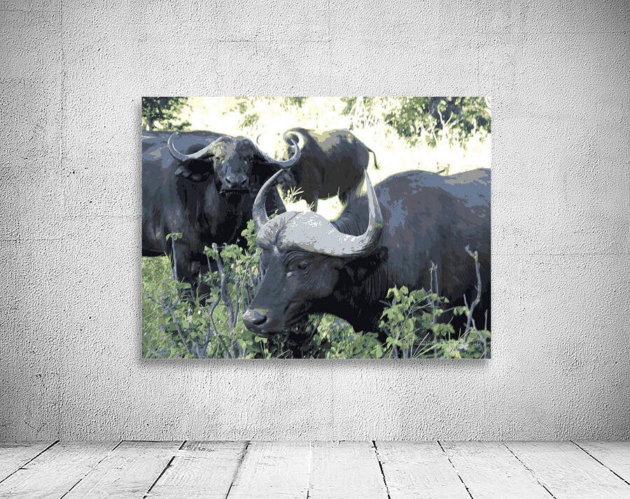 Cape Buffalo Wall Preview