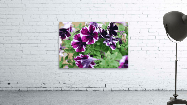 Wildflowers 029 Wall Preview