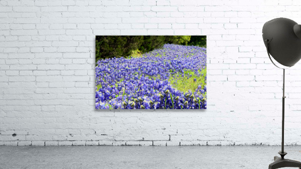 Wildflowers 041 Wall Preview