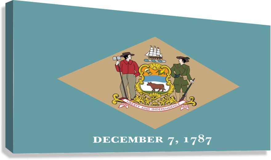 Delaware 12 ratio Canvas Print