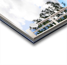 Pine Trees and Grassy Hills Acrylic print