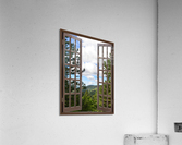 Pine Trees and Grassy Hills Acrylic Print