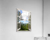 Pine Trees and Grassy Hills Acrylic Print